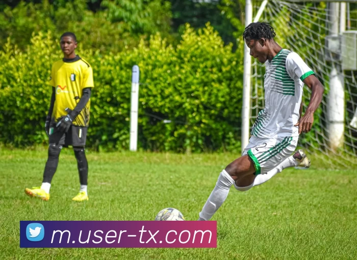 App Interface Preview